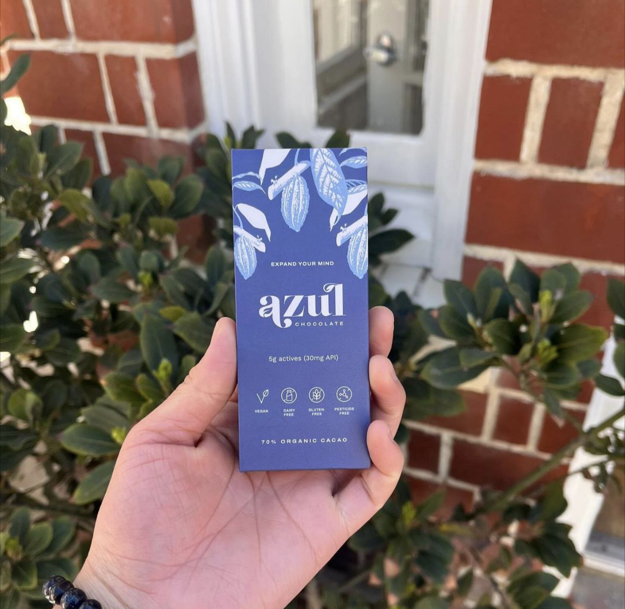 azul chocolate bar | azul chocolate mushroom bar | azul chocolate mushroom | azul chocolate bar | azul chocolates | azul chocolate bar where to buy usa | azul mushroom chocolate | azul microdose chocolate | azul mushrooms